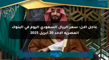 عاجل الآن: سعر الريال السعودي اليوم في البنوك المصرية الأحد 20 إبريل 2025